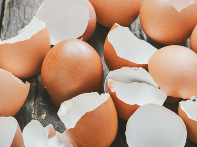 با پوست تخم مرغ به داد دندانهایتان برسید