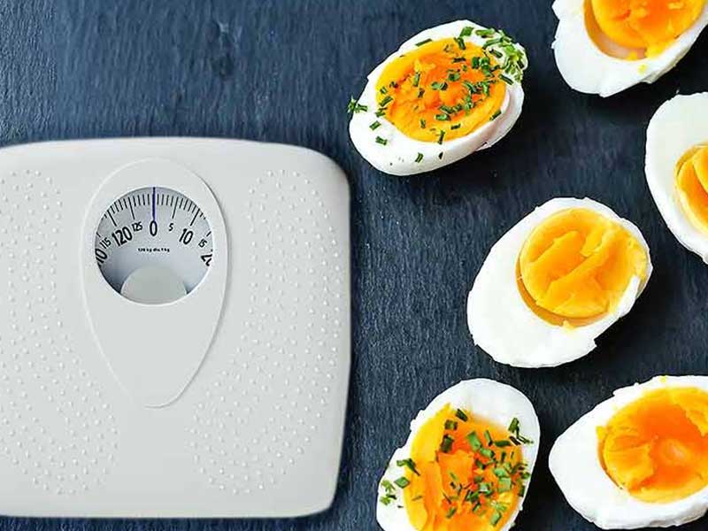 رژیم لاغری با تخم مرغ