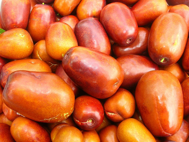 خواص درمانی سنجد